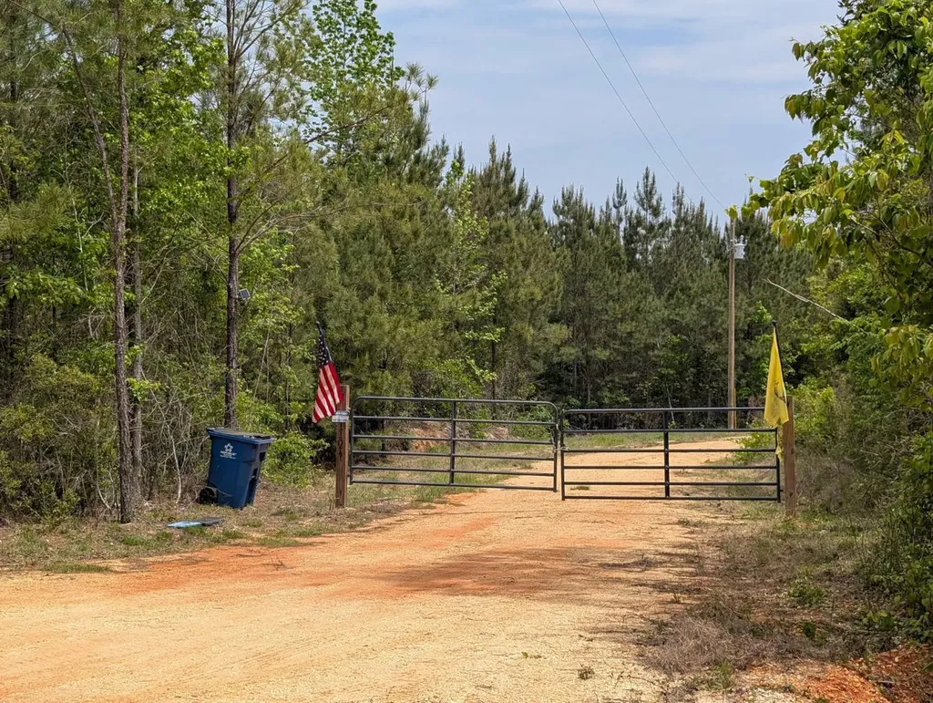1101 Nixon Road Georgiana AL 36033