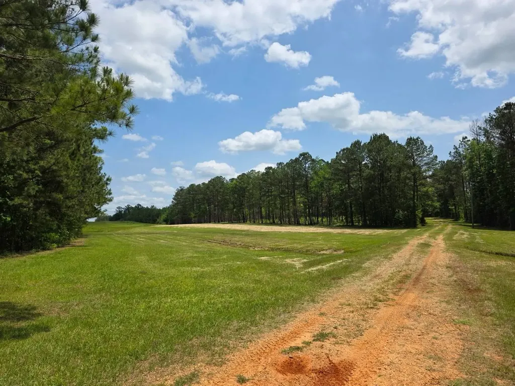 6686 Rembert Hills Road, Sweet Water, Al, 36782 Rembert AL 36782