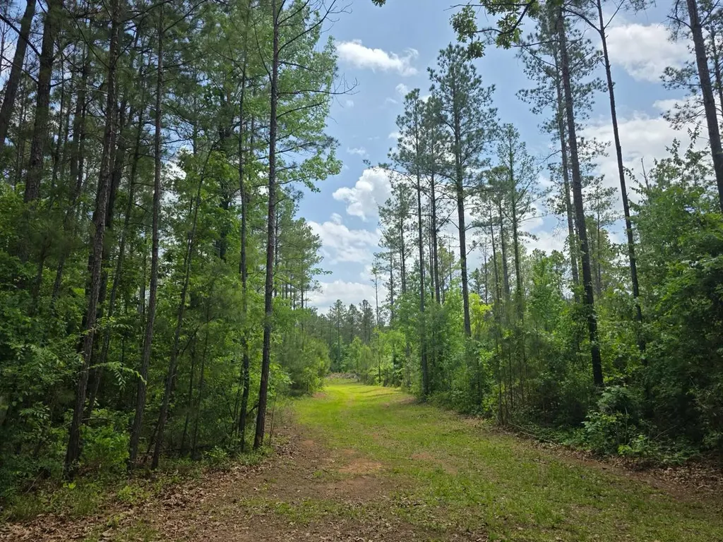 6686 Rembert Hills Road, Sweet Water, Al, 36782 Rembert AL 36782