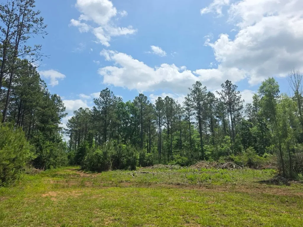 6686 Rembert Hills Road, Sweet Water, Al, 36782 Rembert AL 36782