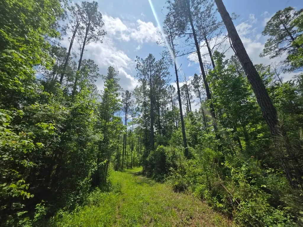 6686 Rembert Hills Road, Sweet Water, Al, 36782 Rembert AL 36782