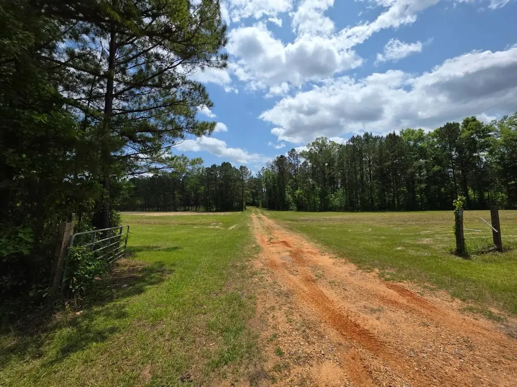 6686 Rembert Hills Road, Sweet Water, Al, 36782 Rembert AL 36782