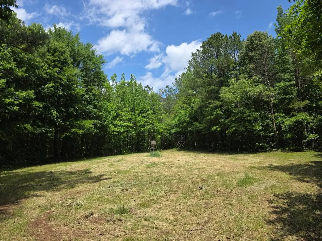 6686 Rembert Hills Road, Sweet Water, Al, 36782 Rembert AL 36782