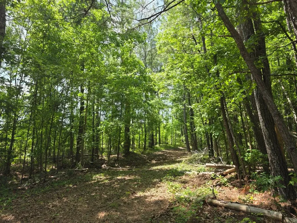 6686 Rembert Hills Road, Sweet Water, Al, 36782 Rembert AL 36782