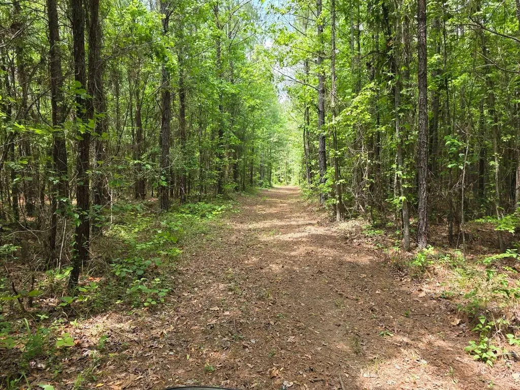 6686 Rembert Hills Road, Sweet Water, Al, 36782 Rembert AL 36782