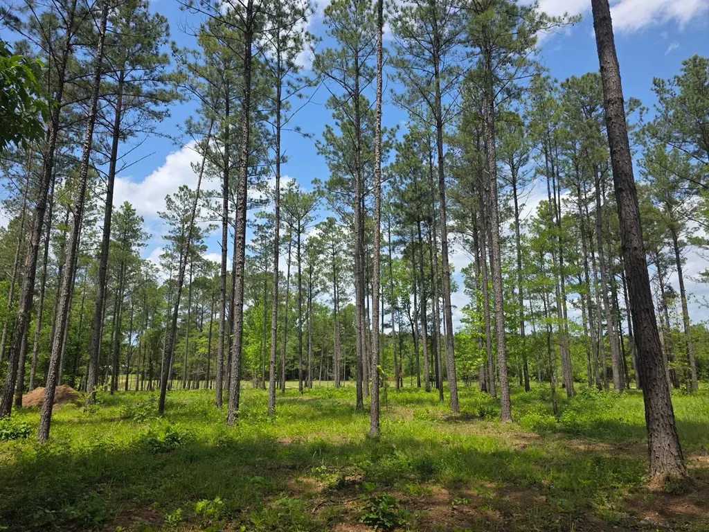 6686 Rembert Hills Road, Sweet Water, Al, 36782 Rembert AL 36782