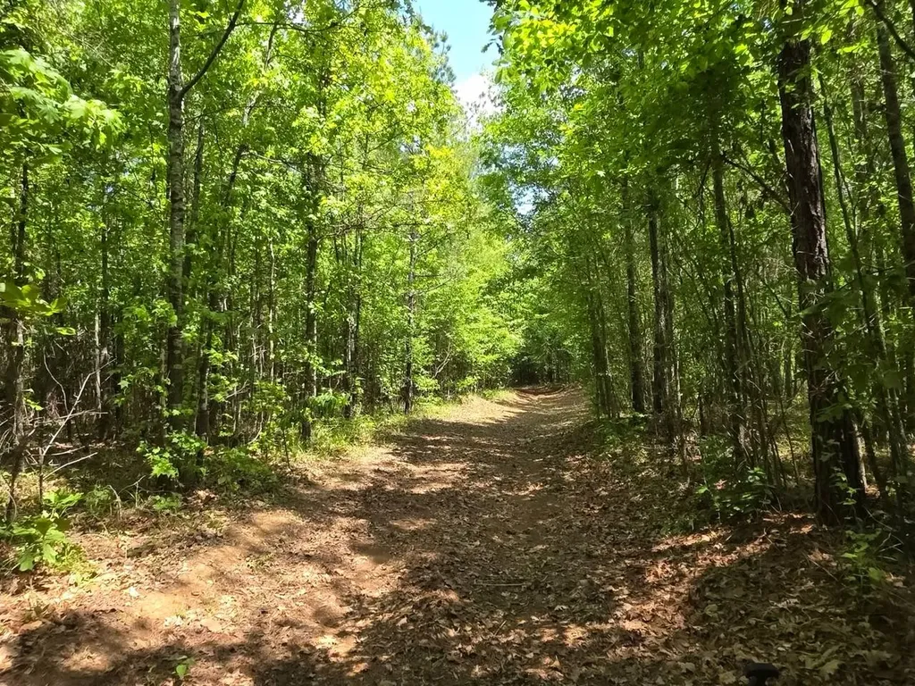 6686 Rembert Hills Road, Sweet Water, Al, 36782 Rembert AL 36782