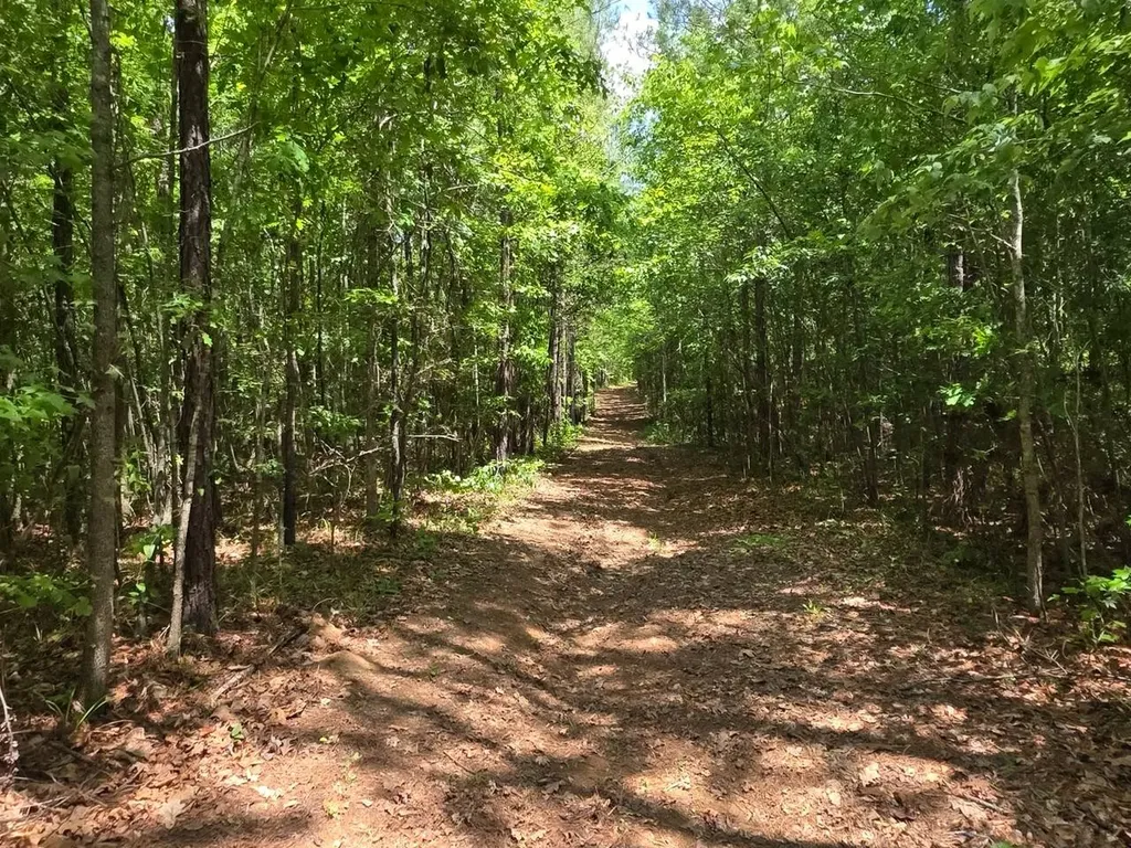 6686 Rembert Hills Road, Sweet Water, Al, 36782 Rembert AL 36782