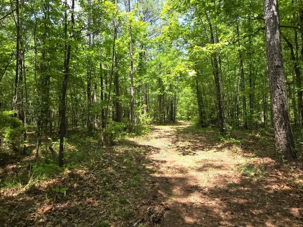 6686 Rembert Hills Road, Sweet Water, Al, 36782 Rembert AL 36782