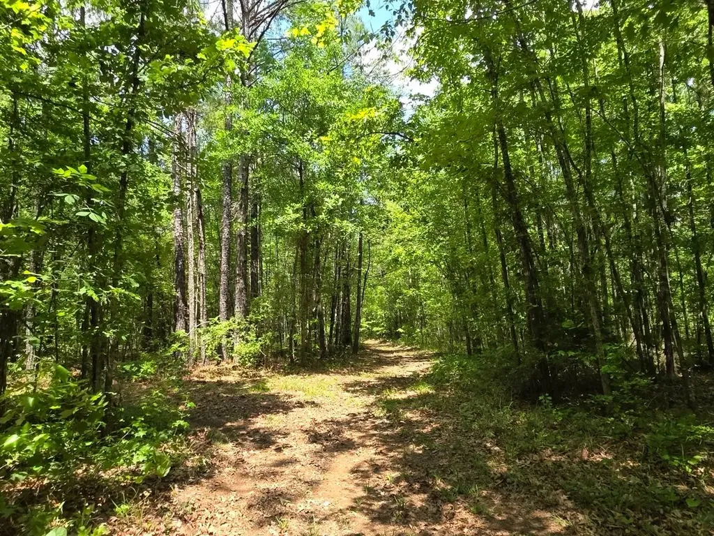 6686 Rembert Hills Road, Sweet Water, Al, 36782 Rembert AL 36782