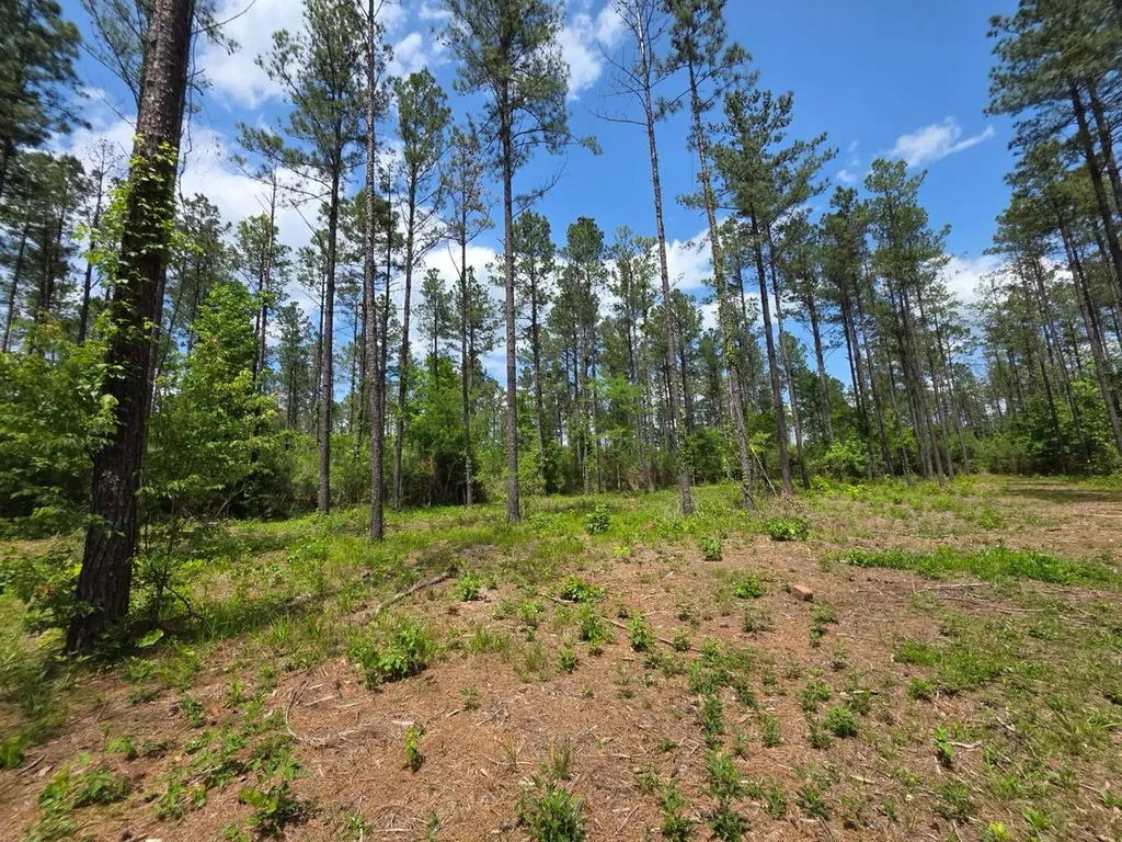6686 Rembert Hills Road, Sweet Water, Al, 36782 Rembert AL 36782