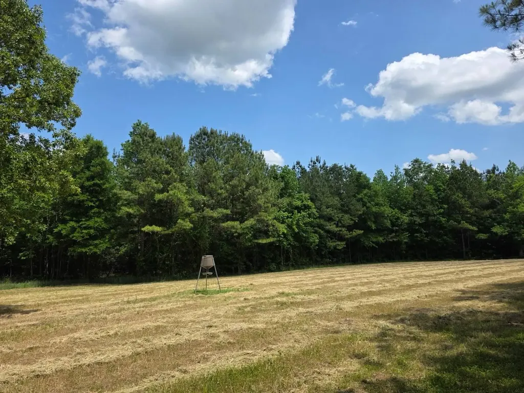 6686 Rembert Hills Road, Sweet Water, Al, 36782 Rembert AL 36782