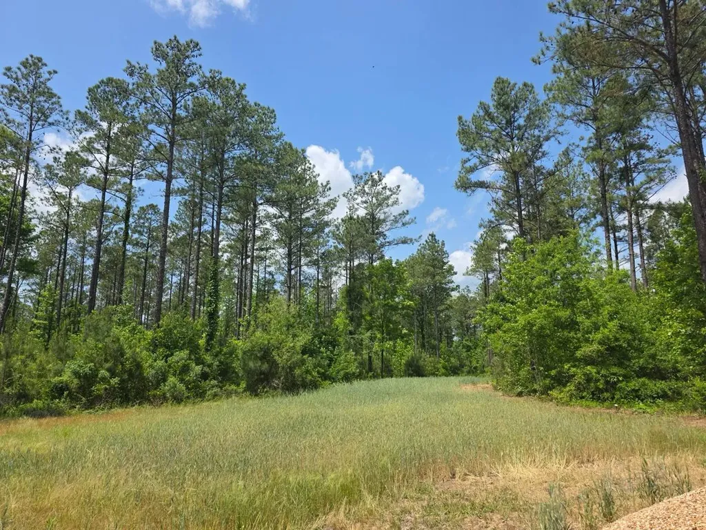 6686 Rembert Hills Road, Sweet Water, Al, 36782 Rembert AL 36782