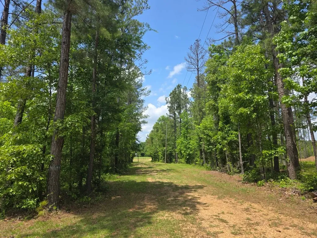 6686 Rembert Hills Road, Sweet Water, Al, 36782 Rembert AL 36782