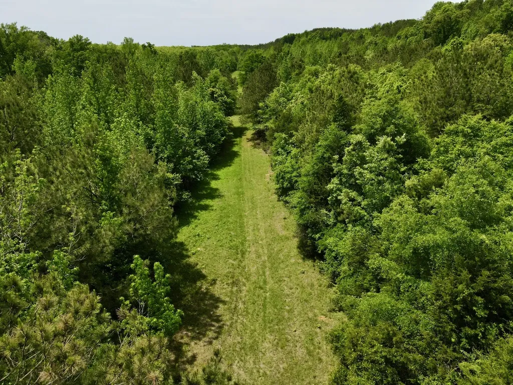 0 County Road 12 Millport AL 35576