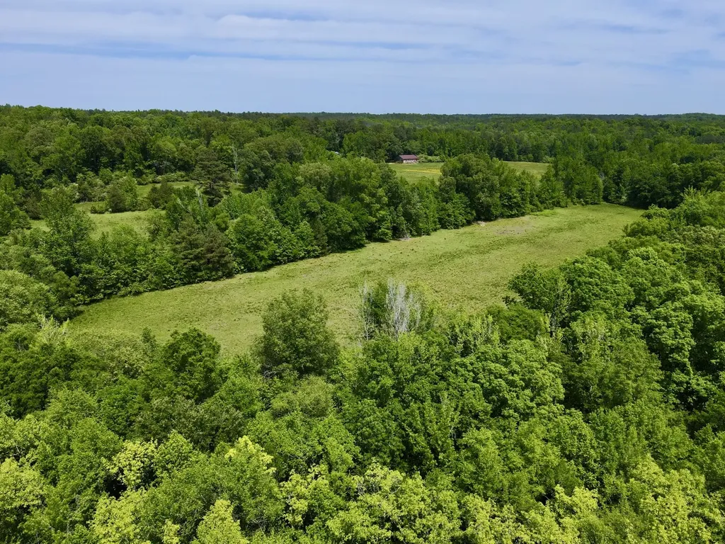 0 County Road 12 Millport AL 35576