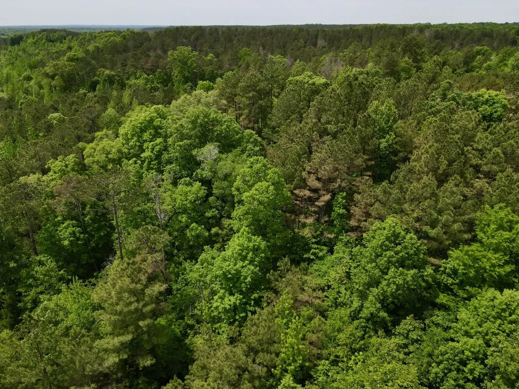 0 County Road 12 Millport AL 35576