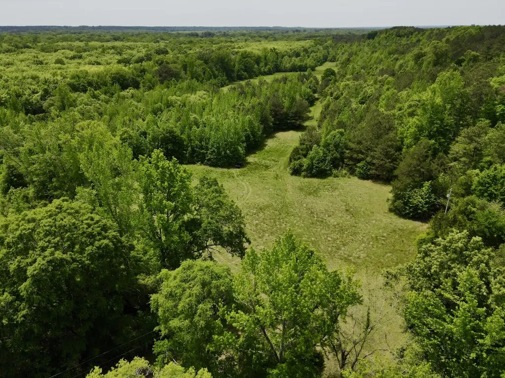 0 County Road 12 Millport AL 35576