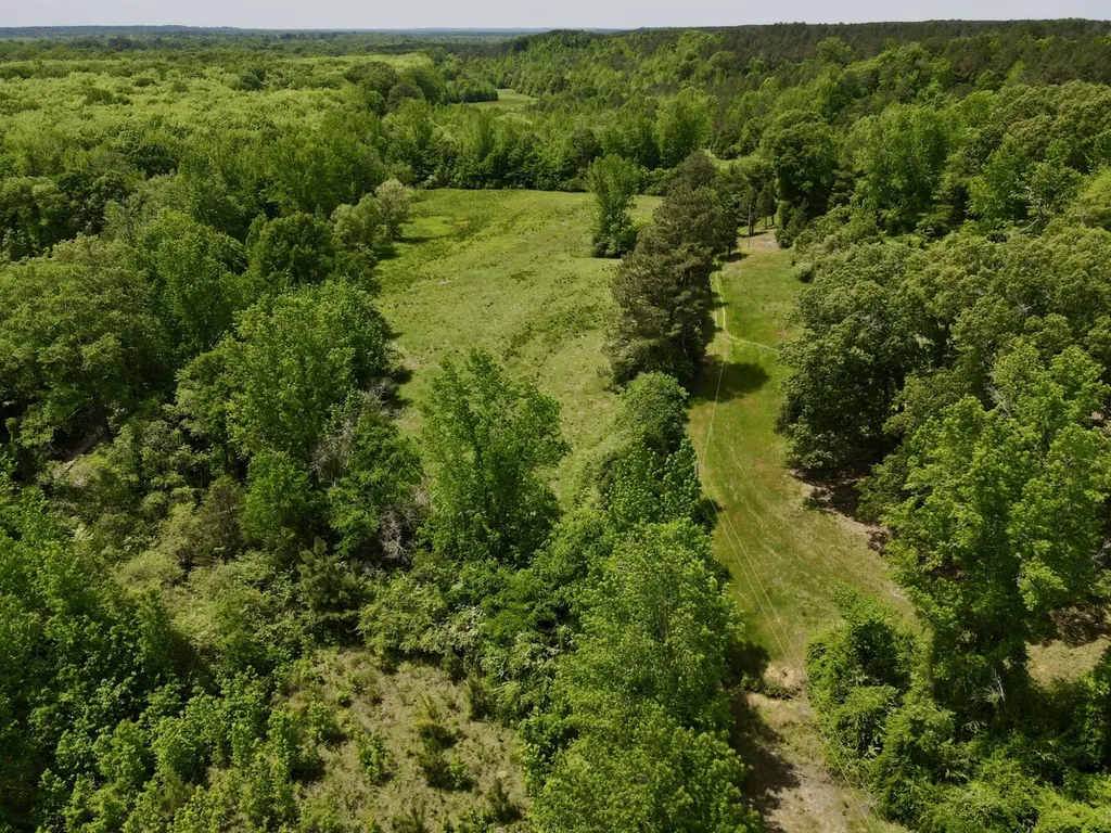 0 County Road 12 Millport AL 35576