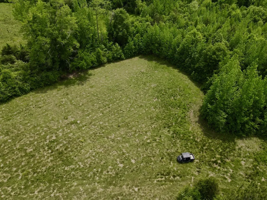 0 County Road 12 Millport AL 35576