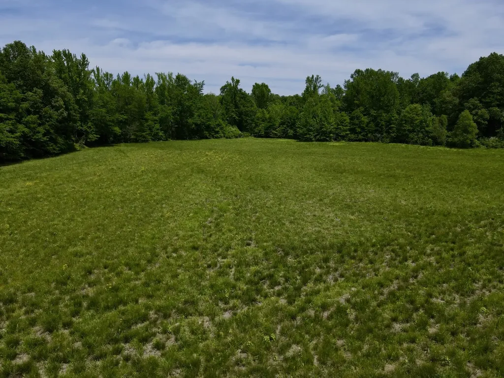 0 County Road 12 Millport AL 35576