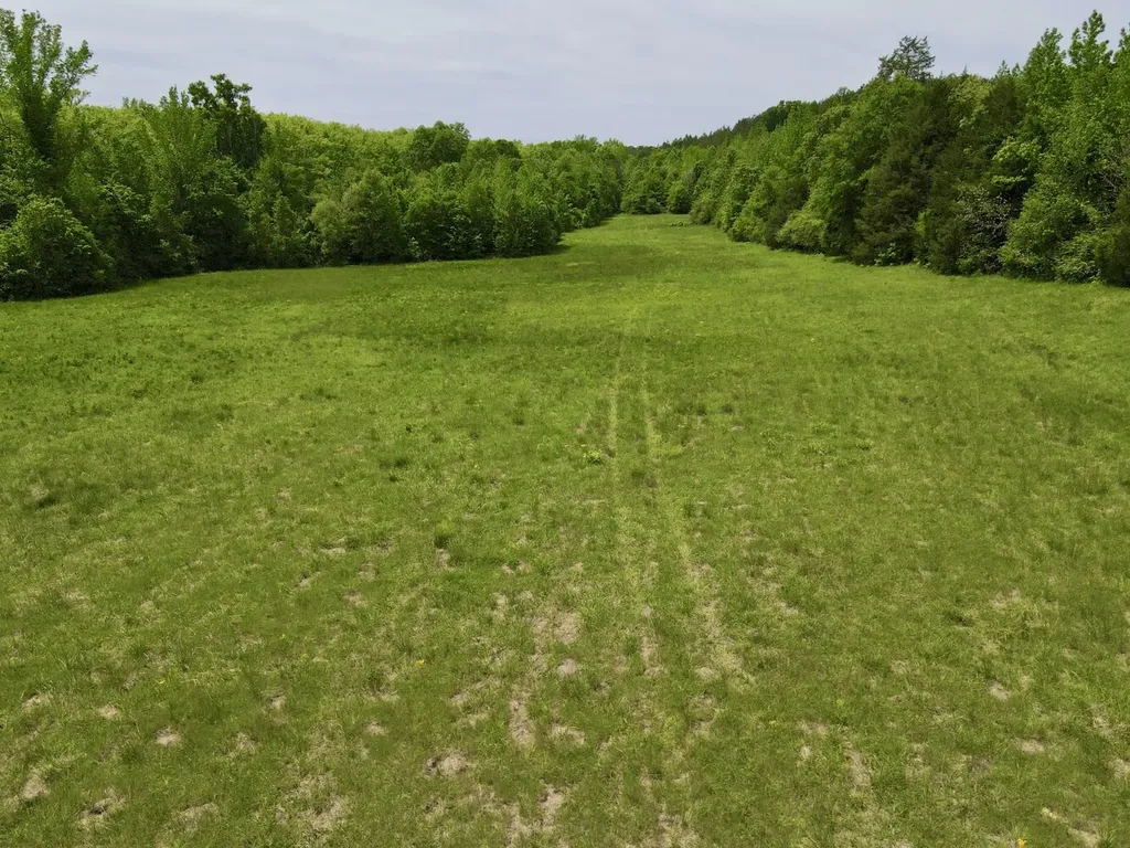 0 County Road 12 Millport AL 35576