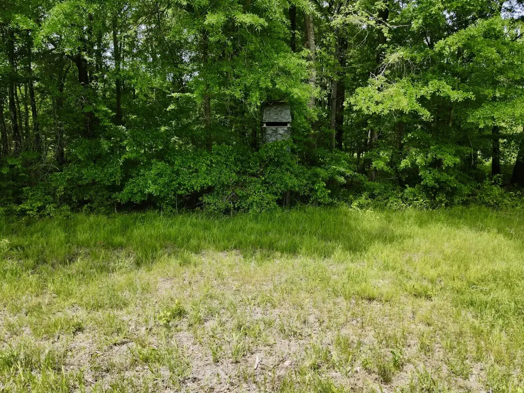 0 County Road 12 Millport AL 35576
