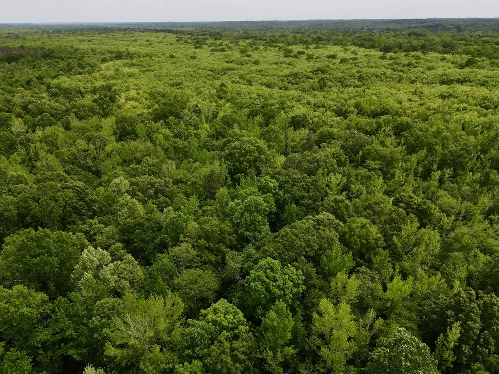 0 County Road 12 Millport AL 35576