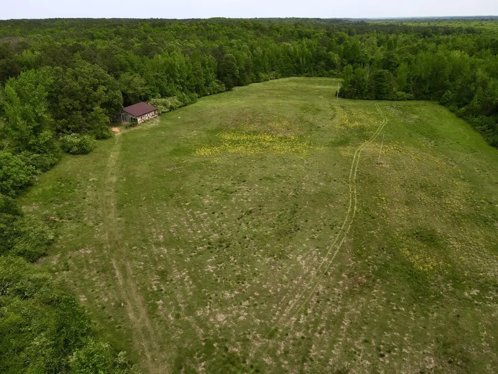 0 County Road 12 Millport AL 35576