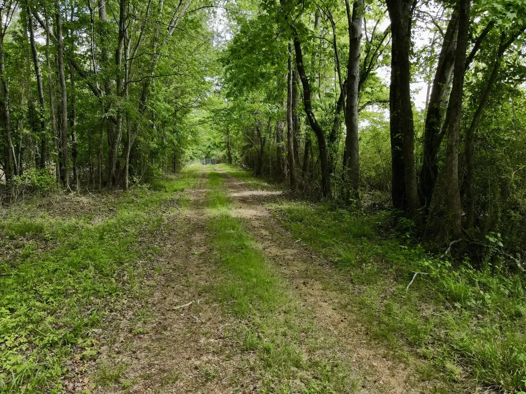 0 County Road 12 Millport AL 35576