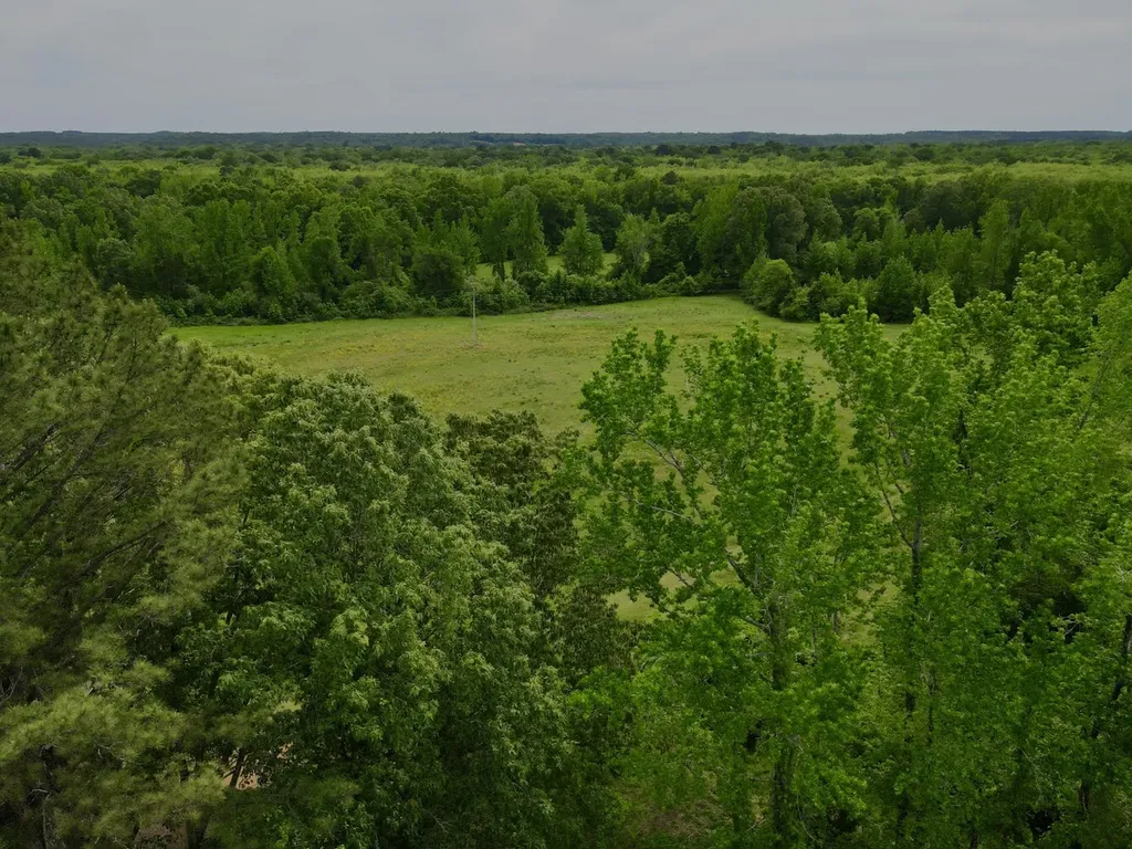 0 County Road 12 Millport AL 35576