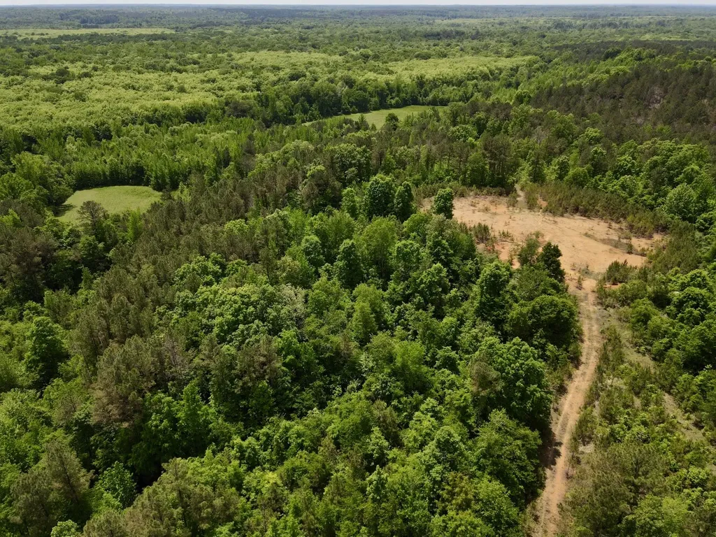 0 County Road 12 Millport AL 35576