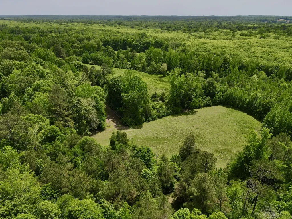 0 County Road 12 Millport AL 35576