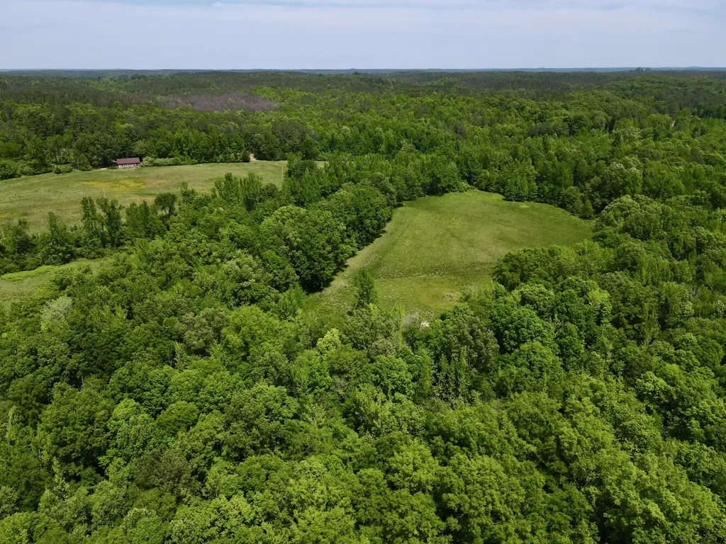 0 County Road 12 Millport AL 35576