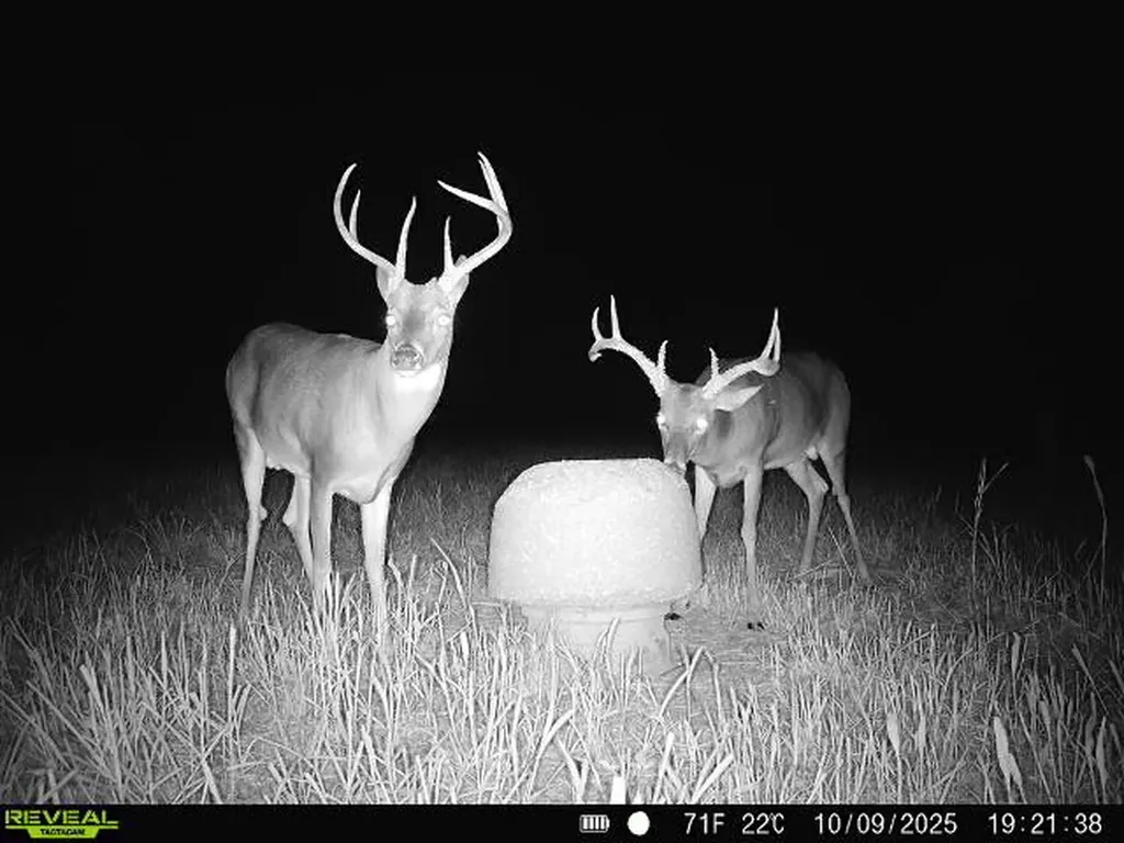 0 Yc Nichols Road Lowndesboro AL 36752