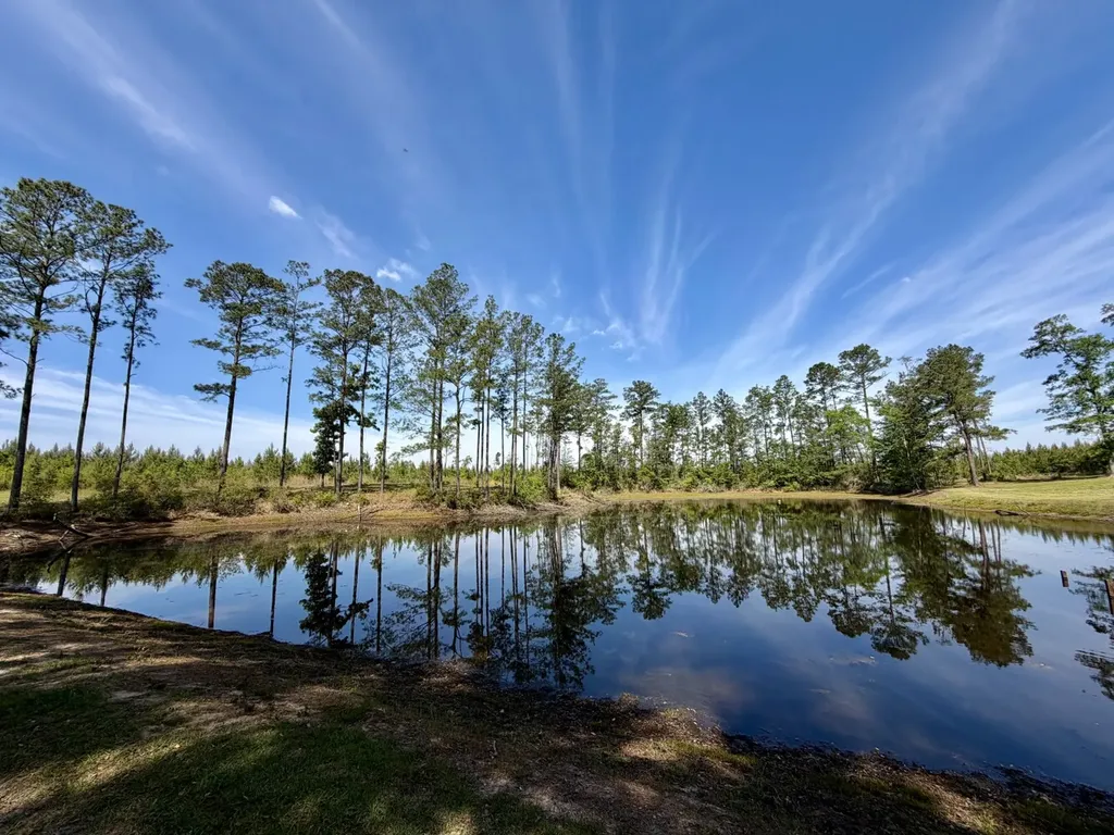 401 A.g. Taylor Road Deer Park AL 36529