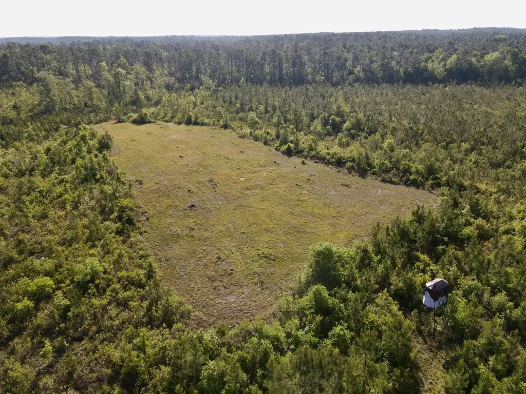 401 A.g. Taylor Road Deer Park AL 36529