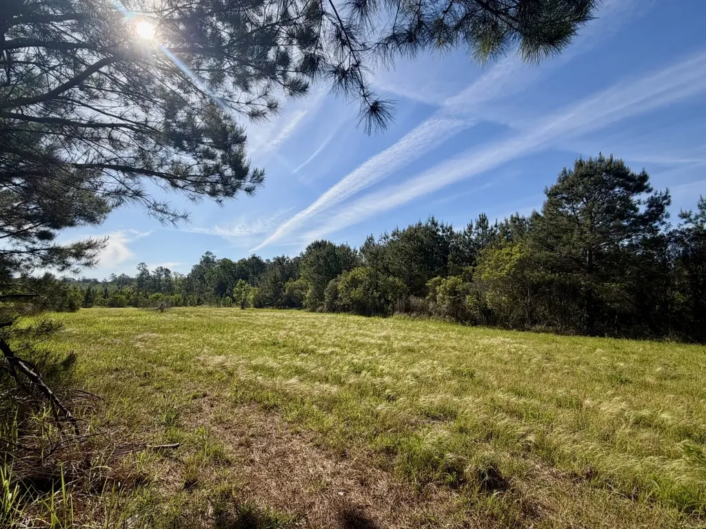 401 A.g. Taylor Road Deer Park AL 36529