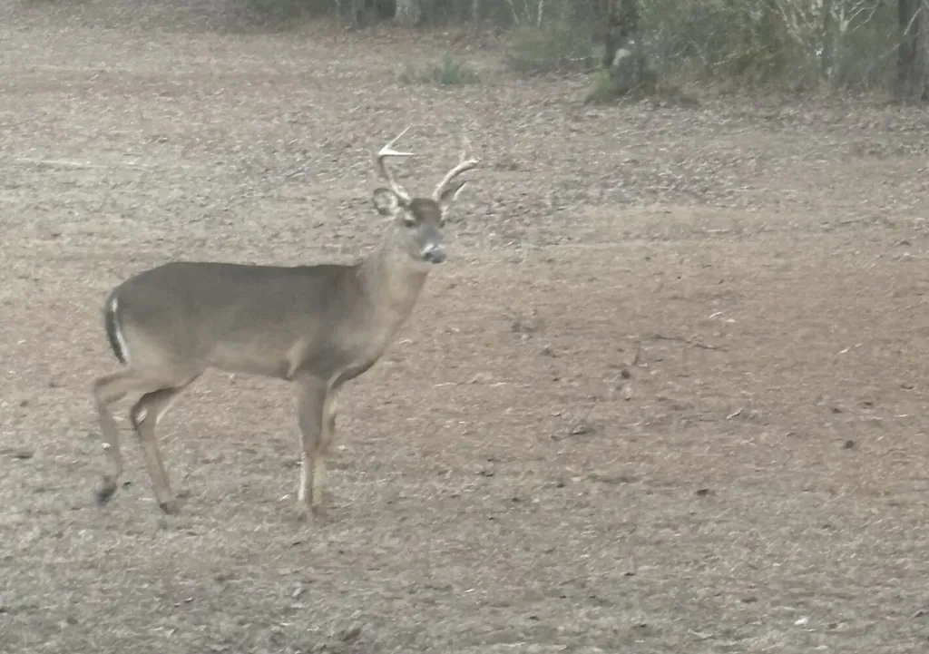 401 A.g. Taylor Road Deer Park AL 36529