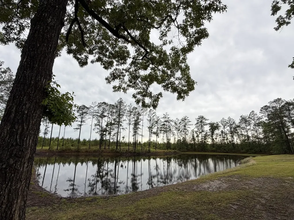 401 A.g. Taylor Road Deer Park AL 36529
