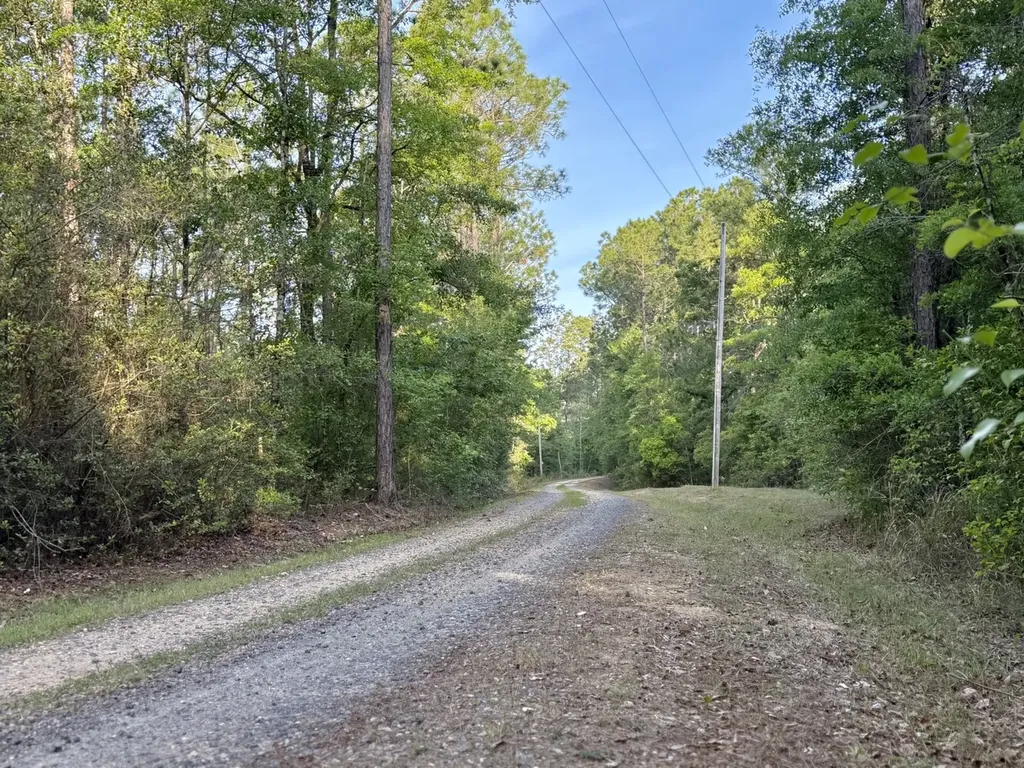 401 A.g. Taylor Road Deer Park AL 36529