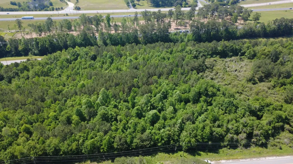 0 Will Walker Road Vance AL 35490