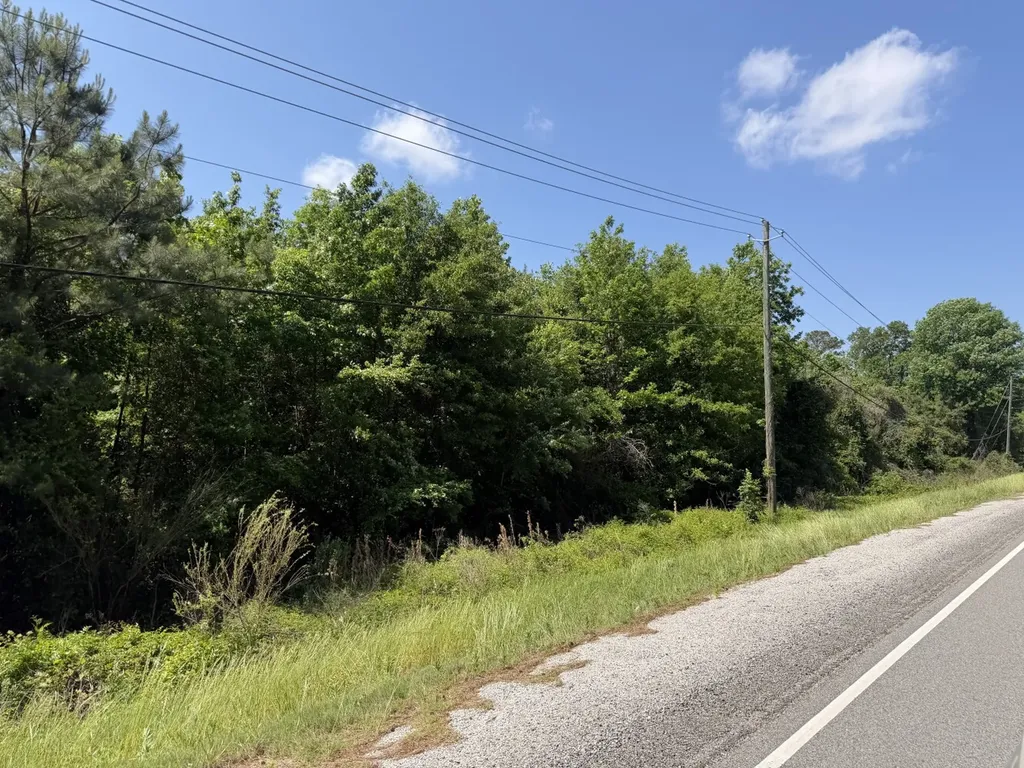 0 Will Walker Road Vance AL 35490