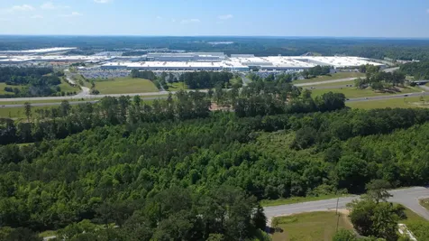 0 Will Walker Road Vance AL 35490