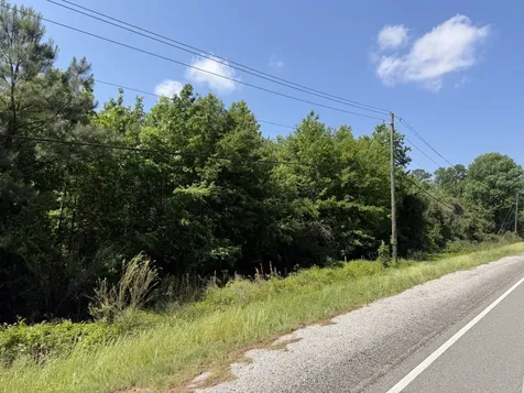 0 Will Walker Road Vance AL 35490