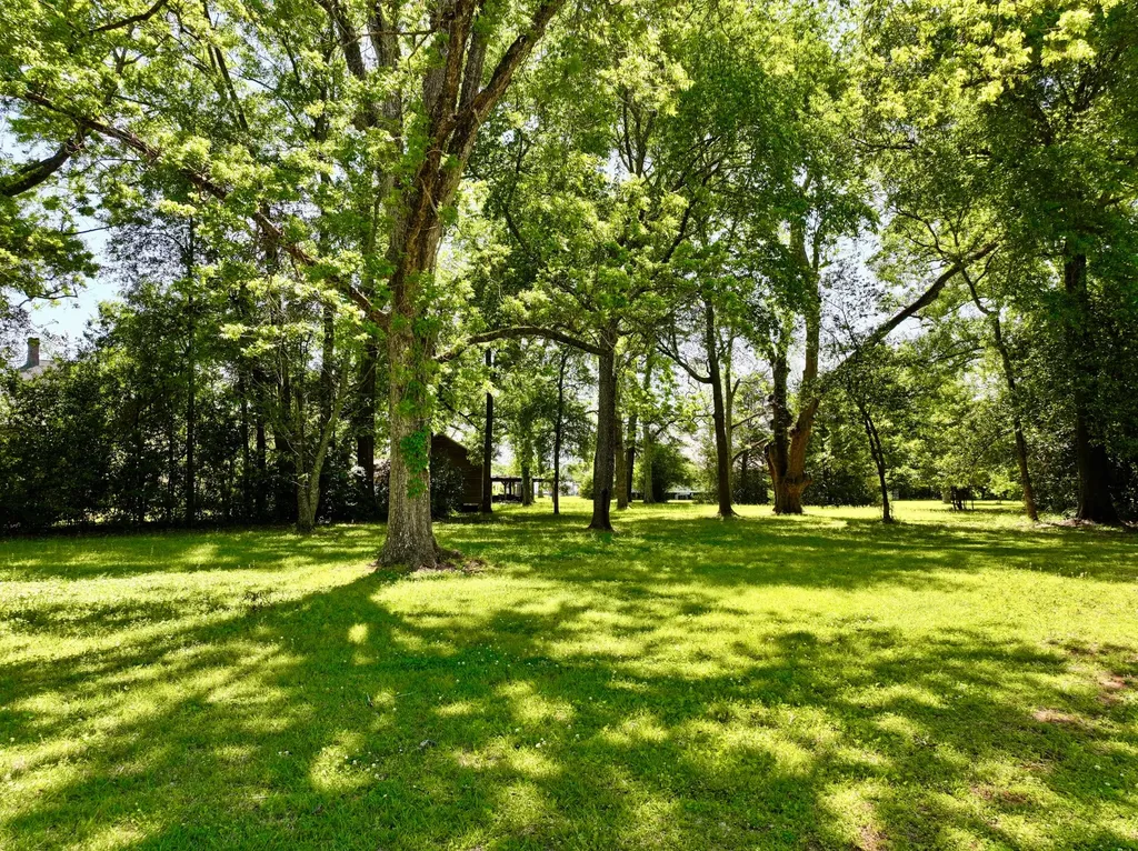 408 East Rose Street Jackson AL 36545