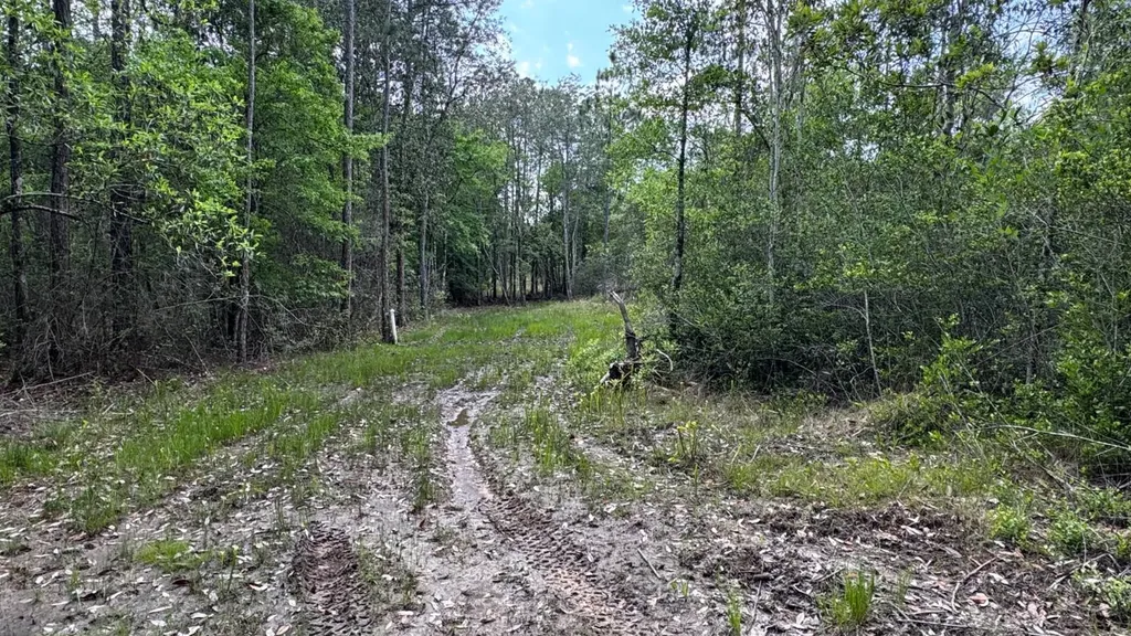 1297 Ernest Everett Road Vinegar Bend AL 36584