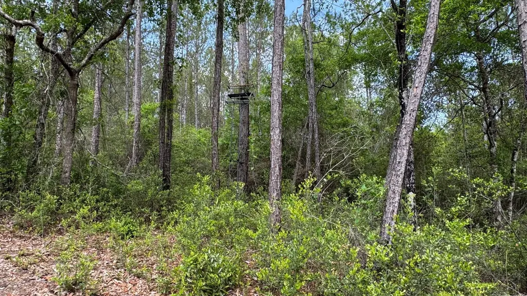 1297 Ernest Everett Road Vinegar Bend AL 36584