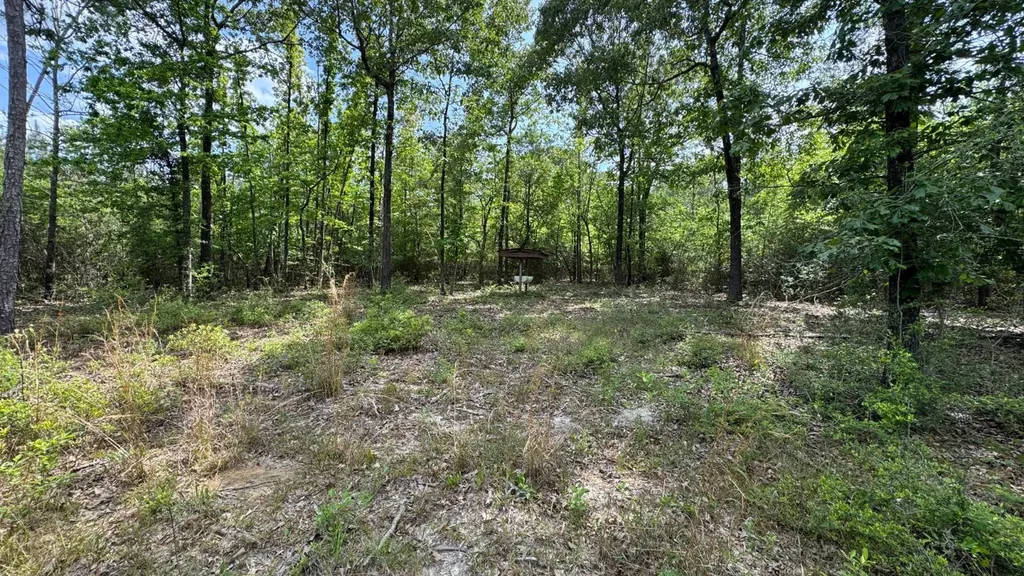 1297 Ernest Everett Road Vinegar Bend AL 36584