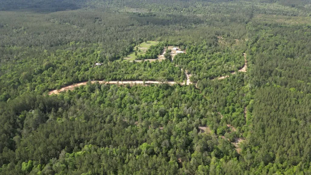 1297 Ernest Everett Road Vinegar Bend AL 36584